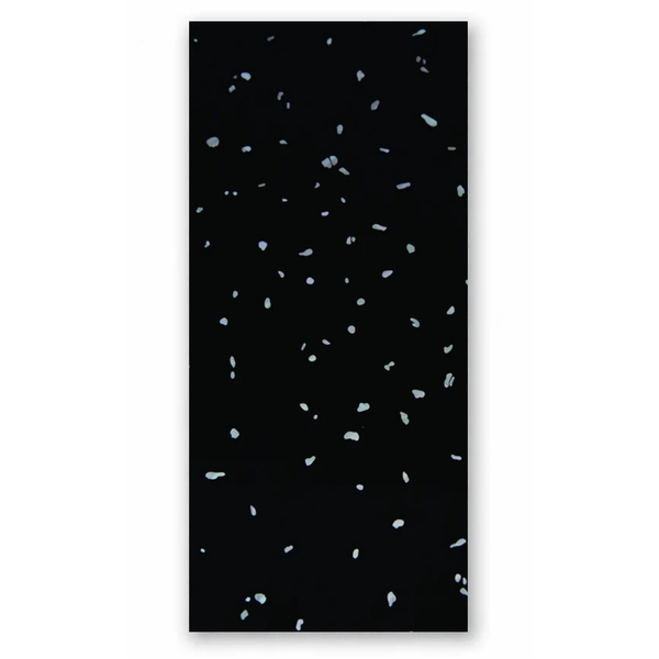 Black Sparkle Wall Panel | 250mm x 2.6m x 5mm (Pack of 4)