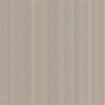 Havana Silver Grey Modern Wall Panel | 250mm x 2.6m x 8mm (Pack of 4)