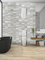 Nassau Silver Modern Wall Panel | 250mm x 2.6m x 8mm (Pack of 4)
