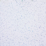 White Sparkle Wall Panel | 250mm x 2.6m x 5mm (Pack of 4)