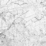 Vicenza White Wall Panel | 1000mm x 2.4m x 10mm